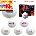 【★★スーパーSALEエントリーで当店全品P10倍UP★★】【オリジナルマークプリントボール(納期2-3日)】ワークスゴルフ 飛匠レッドラベル極 ゴルフボール ...