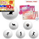 【★★スーパーSALEエントリーで当店全品P10倍!★★】【オリジナルマークプリントボール(納期2-3日)】ダンロップ SRIXON ソフトフィール レディ ゴルフボール 1ダース(12球入) 2025年モデル シルエット マーク入り
