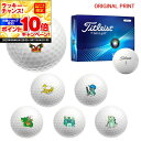 【★★スーパーSALEエントリーで当店全品P10倍UP★★】【オリジナルマークプリントボール(納期2-3日)】タイトリスト ツアーソフト(TOUR SOFT) ゴルフボール 1ダース(12球入り) 2024年モデル 干支プリント マーク入り