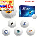 【★★スーパーSALEエントリーで当店全品P10倍UP★★】【オリジナルマークプリントボール(納期2-3日)】タイトリスト ツアーソフト(TOUR SOFT) ゴルフボール 1ダース(12球入り) 2024年モデル ハロウィン マーク入り