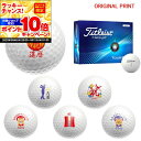 【★★スーパーSALEエントリーで当店全品P10倍UP★★】【オリジナルマークプリントボール(納期2-3日)】タイトリスト ツアーソフト(TOUR SOFT) ゴルフボール 1ダース(12球入り) 2024年モデル 祝 還暦 古希 プリント入り