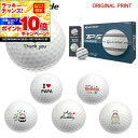 【★★スーパーSALEエントリーで当店全品P10倍UP★★】【オリジナルマークプリントボール(納期2-3日)】テーラーメイド TP5 ストライプ ゴルフボール 1ダース(12球) 2024年モデル バースデイ・メッセージ マーク入り