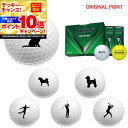 【★★スーパーSALEエントリーで当店全品P10倍!★★】【オリジナルマークプリントボール(納期2-3日)】ダンロップ SRIXON TRI-STAR5 トライスター5 ゴルフボール 1ダース(12球入)2024年継続モデル ペット スポーツシルエット