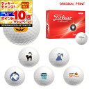 【★★スーパーSALEエントリーで当店全品P10倍UP★★】【オリジナルマークプリントボール(納期2-3日)】タイトリスト トゥルーフィール(TRUFEEL) ...