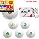 【★★スーパーSALEエントリーで当店全品P10倍!★★】【オリジナルマークプリントボール(納期2-3日)】ダンロップ SRIXON XMAX(エックスマックス) ゴルフボール 1ダース(12球入) 2024年モデル 干支 プリント マーク入り
