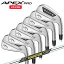 (営業日即日発送)キャロウェイ(Callaway) エイペックス プロ(APEX PRO) アイアンセット(6本 #5-9,PW)ダイナミックゴールド MID115 シャフト 2023年モデル(日本正規品)