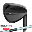 【5/1まで最大5％OFFガチ得クーポン】(営業日即日発送)タイトリスト(Titleist) ボーケイデザイン SM10 ウェッジ ジェットブラック仕上げ ダイナミックゴールド(WedgeFlex)シャフト 2024年モデル(日本正規品)【ASU】