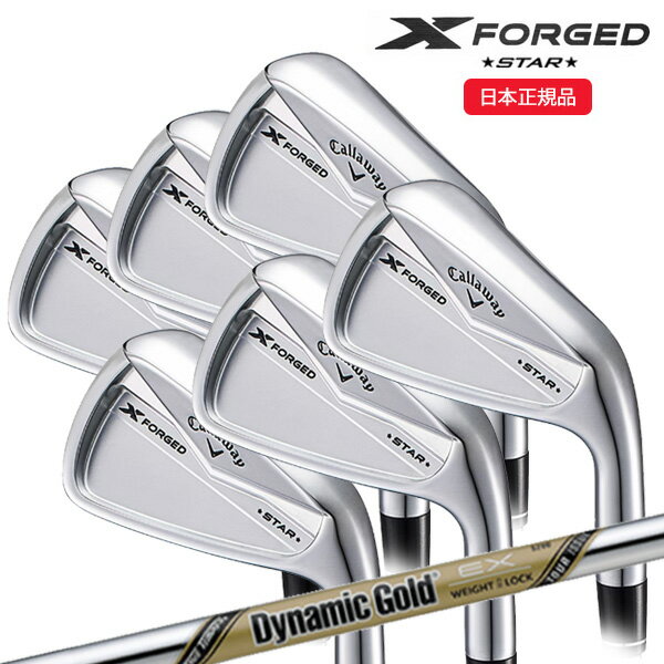 (営業日即日発送)(特注完成品)キャロウェイ(Callaway) エックス フォージド スター(X-FORGED-STAR) アイアンセット(6本 #5-9,Pw) ダイナミックゴールドEXツアーイシュー シャフト 2024年モデル(日本正規品)