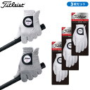 (取寄)【3枚セット】タイトリスト プロフェッショナルテック グローブ TG53 左手装着用 メンズ 2023年