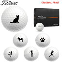 【7/15まで最大10%OFFクーポン】【オリジナルマークプリントボール(納期2-3日)】タイトリスト PROV1 ゴルフボール 1ダース(12球入り) 2025年モデル ペット スポーツシルエット