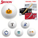 【7/11まで最大4600円ガチ得クーポン】【オリジナルマークプリントボール(納期2-3日)】ダンロップ SRIXON 2025 New Z-STAR(ゼットス...