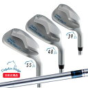★9/15まで最大10%OFFガチ得クーポン★キャスコ(Kasco) ドルフィンウェッジ(DOLPHIN WEDGE) DW-225 ドルフィンオリジナル スチールシャフト 2025年モデル(日本正規品)