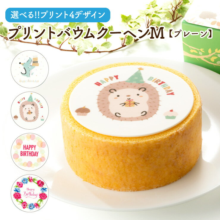 バウムクーヘン プレーン