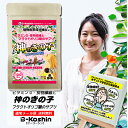 ビタミンD カルシウム サプリ 菌活 サプリ 腸活 フェムケア 食物繊維 ビタミン サプリメント きのこ サプリ きくらげ 国産 鉄分 ビタミンD不足 サプリ 日光不足 子供 カルシウムと キッズサプリ 栄養 キクラゲ サプリ ベータグルカン