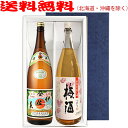 【送料無料】伊佐美・さつまの梅酒セット(1800ml×2)〔ギフト箱E付〕【□】【常温便限定】