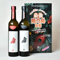 【送料無料】【製造(出荷)2025年6月】最強陽乃鳥図鑑 緋乃鳥 貴醸酒 500ml/玄乃鳥 貴醸酒 500ml〔化粧箱付〕【□】クール代込【冷3】