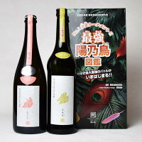 【送料無料】【製造(出荷)2025年7月】最強陽乃鳥図鑑 陽乃小鳥 2024 SPARK/迦楼羅 2024〔化粧箱付〕【□】クール代込【冷3】≪包装のし不可≫