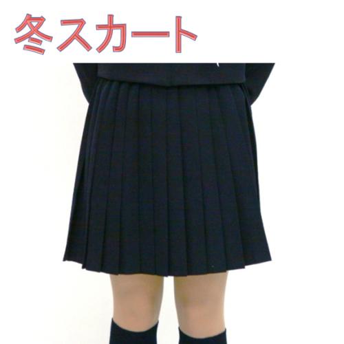 【大きいサイズ】【28車ヒダ】冬 スカート【黒&紺】 ウエスト【75〜90cm】【国内縫製】【日本製 ...