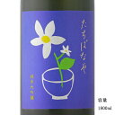 \正規販売店/ たちばなや tachibanaya 純米大吟醸 1800ml 日本酒 お酒 酒 SAKE 宮城県 川敬商店 美好屋酒店 有名 人気 飲みやすい ギフト プレゼント お祝い 贈り物 誕生日 退職祝い 結婚祝い 還暦祝い 内祝い 手土産