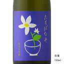 \正規販売店/ たちばなや tachibanaya 純米大吟醸 720ml 日本酒 お酒 酒 SAKE 宮城県 川敬商店 美好屋酒店 有名 人気 飲みやすい ギフト プレゼント お祝い 贈り物 誕生日 退職祝い 結婚祝い 還暦祝い 内祝い 手土産