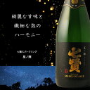 七賢 スパークリング星ノ輝 720ml 【日本酒/山梨県/山梨銘醸】【冷蔵推奨】 3