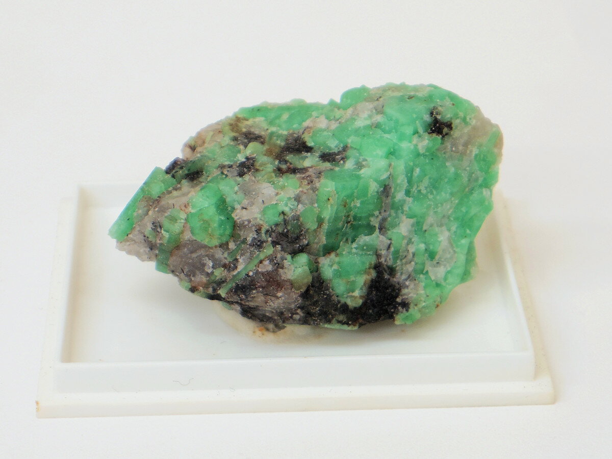 �ڥѥ���ȡ���ۥ������(���)�����С�ŷ���С�