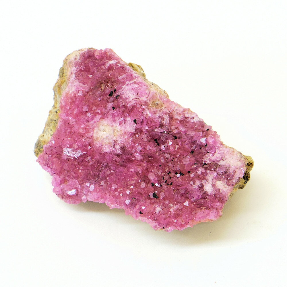 楽天市場】コバルトカルサイトの通販