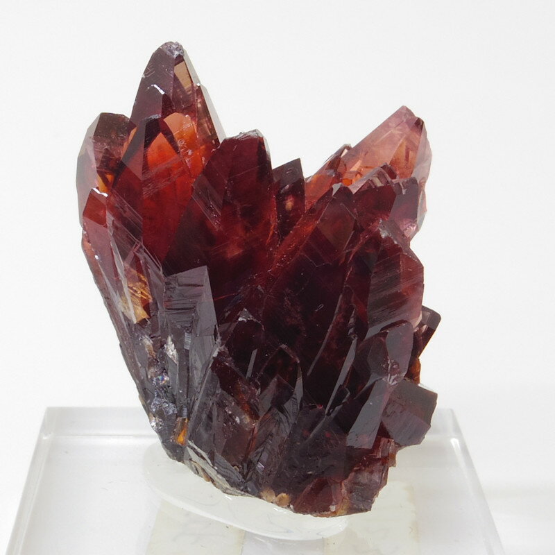 ��ŷ���Сϸ��Υ����ɥ��������ȷ뾽����եꥫ���ˡ����С��Υ��󥫥������ϡδ����СϡΥѥ���ȡ����