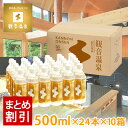 観音温泉水 500ml × 24本