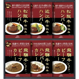 飛騨高山ファクトリー 松阪牛・近江牛・飛騨牛仕込みハンバーグ＆カレー詰合せ カレー・スープ 内祝い 結婚内祝い 出産内祝い 景品 結婚祝い 引き出物 香典返し クーポン配布中