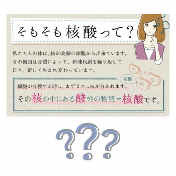 �������˻��ɥ�� CELLBE������ӡ����� 720ml��