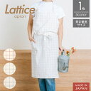 【クーポン7月11日01:59まで】 エプロン 日本製 <ラティス> 綿100% キッチン カフェ 保育士 男女兼用 チェック 北欧 フリーサイズ ワンピース ...
