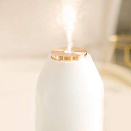 加湿器 ポータブル加湿器 USB充電 uruoi b.o.ttle うるおいボトル