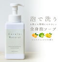 Care/ki Natural ケアキ ナチュラル ボディーソープ 泡 ハンドウォッシュ シトラスミックス 洗顔 無添加 植物由来保湿成分 天然由来オイル スキンケア 全身 石けん 石鹸 ボディウォッシュ 保湿 乾燥肌 しっとり 潤い すっきり バスケア 男性 女性 ギフト 母の日 OSOS