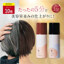 ★ポイント10倍 12/13 10:00～12/17 9:59★【楽天1位獲得】白髪染め [ 白髪染 泡 ムース ヘアカラー 永久白髪染毛剤 5分で染まる 全体染め リタッチ 部分染め 女性用 リタッチ カラー維持 ハリ コシ 匂いゼロ 茶 黒 ] 1本