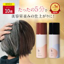 ★ポイント10倍+5%OFFクーポン 4/30 火 限定★【楽天1位獲得】白髪染め [ 白髪染 泡 ムース ヘアカラー 永久白髪染毛剤 5分で染まる 全体染め リタッチ 部分染め 女性用 リタッチ カラー維持 ハ…