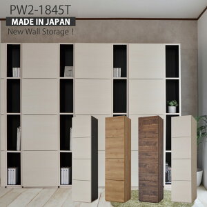 リビング壁面収納 本棚 扉付き 日本製シンプルデザインがスタイリッシュなドアタイプの壁面収納！おしゃれ 収納家具 書棚