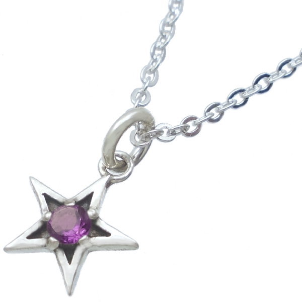 Amethyst - (2月)アメジスト ブラック タイニー スター シルバーチャームネックレス 誕生石