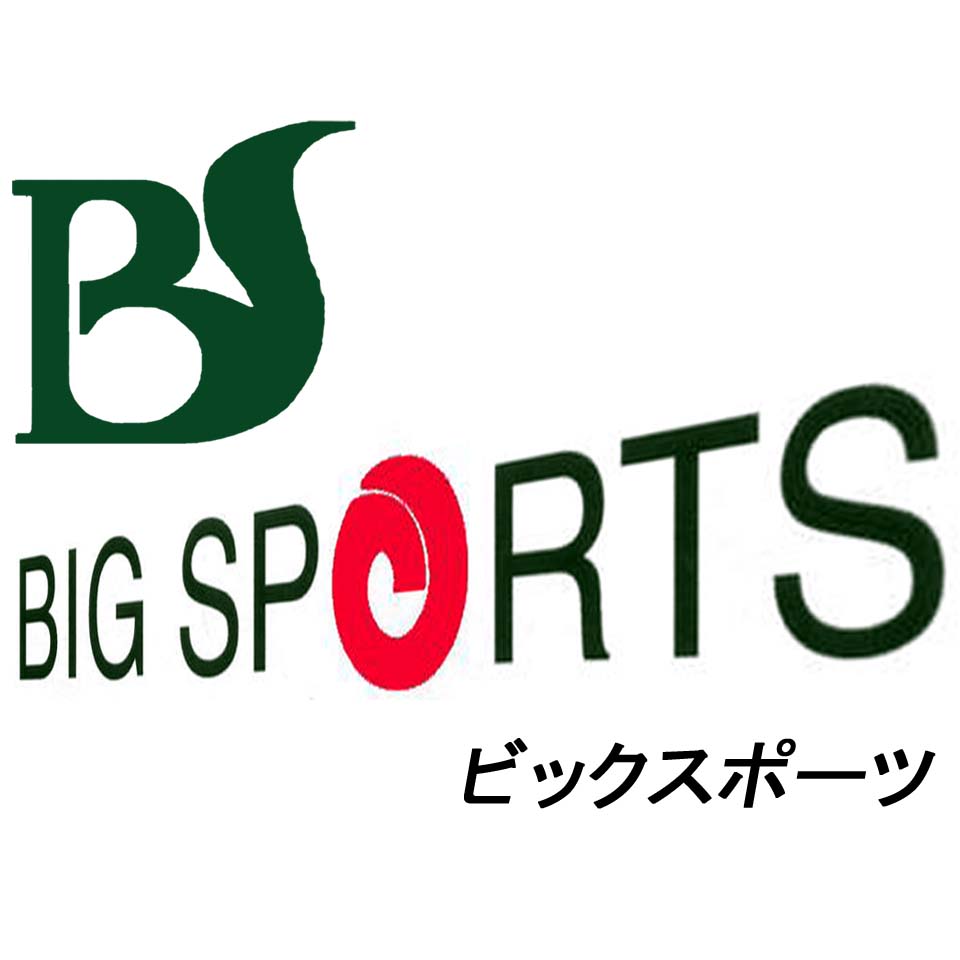 ビッグスポーツ