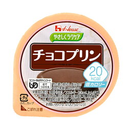 低カロリー やさしくラクケア 20kcalチョコプリン 60g