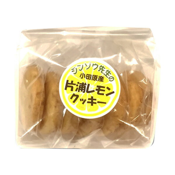 ジンゾウ先生の片浦レモンクッキー 10g×7枚 [低たんぱく/低たんぱく食品/たんぱく質調整/腎臓病食]