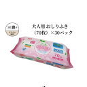 【1/10限定！最大2,000円OFF】 【P2倍】 大人用おしりふき 70枚 Life‐do　Plus 730377