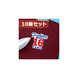 【GWも発送★500円OFFクーポン配布中！～5/6 23:59】 【P2倍】 10個セットインクジェット用化繊布用アイロンプリント紙 JP-TPRTENA6X10