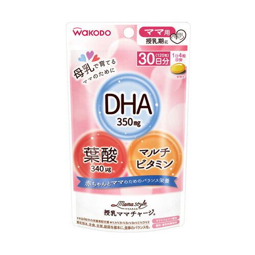 マタニティ・衛生用品 授乳ママチャージ 51.6g(120粒)