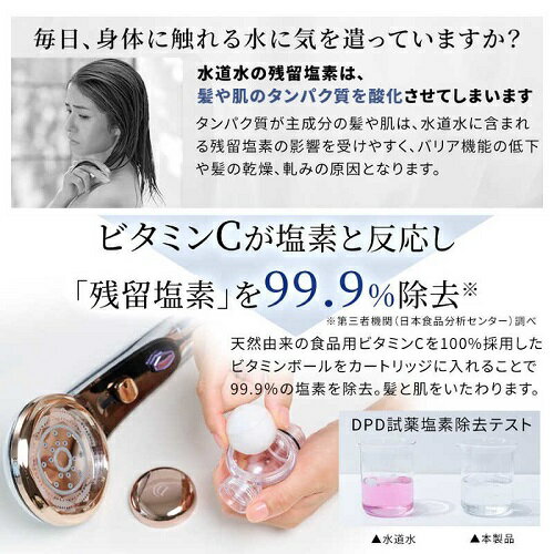 クリスタルジュエル 塩素除去カートリッジセット DOCTORAIR BSH-01CT 新生活 一人暮らし 引っ越し 新生活応援 単身