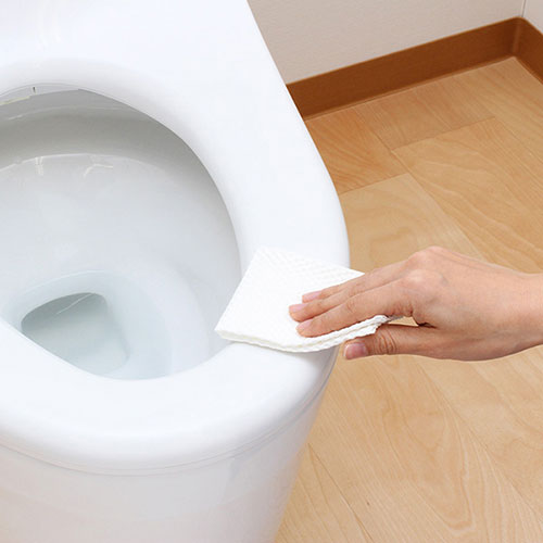 レック GN流せる除菌トイレクリーナー大判2個組 S00328 母の日 ギフト 2026 贈り物 プレゼント 母 父 父の日 ペアギフト