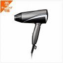 プロテクトイオン ヘアドライヤー グレー テスコム TD360A-H 敬老の日 プレゼント ギフト 2025 お年寄り 男性 女性 メンズ レディース ラッピン...