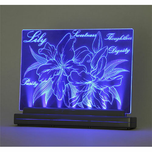 【3セット】 ARTEC ライトスクラッチ A5 ATC13347X3