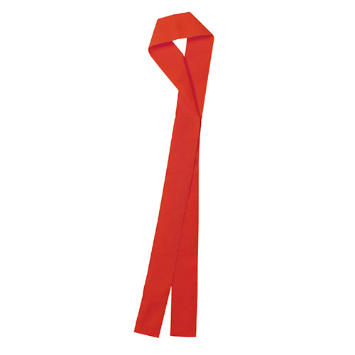 運動会・発表会・イベント 結ぶ必要なし! 頭にはめるだけのお手軽はちまき!特許出願中商品の「フィットはちまき」を使用しています。吸水速乾! 汗をかいてもベタつかない 商品サイズ(単位mm) : 555x40mm、頭囲φ185mm 重量(g)...