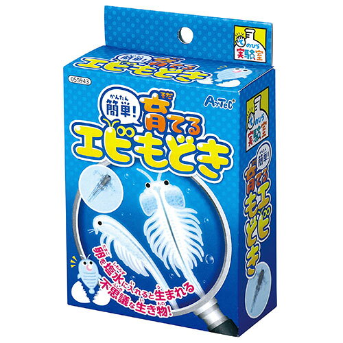 卵を塩水に入れると生まれる不思議な生き物を育てよう 卵を塩水に入れると生まれる 不思議な生き物を育てよう セット内容 : スポイト 2ml×1、エビもどきの卵×1 サイズ : 143×90×40mm 材質 : ブラインシュリンプエッグ、PE 梱包 : ヘッダー付箱入り 原産国 : 日本